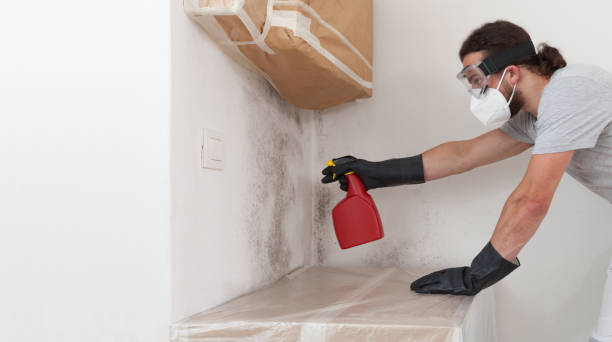 Professional Attic Mold Remediation technician working in Ebony, VA