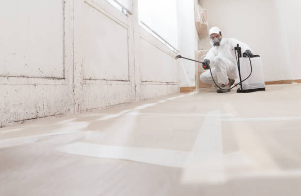 24/7 Emergency Attic Mold Remediation experts in Ebony, VA