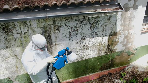 Top rated local Attic Mold Remediation specialists in Ebony, VA